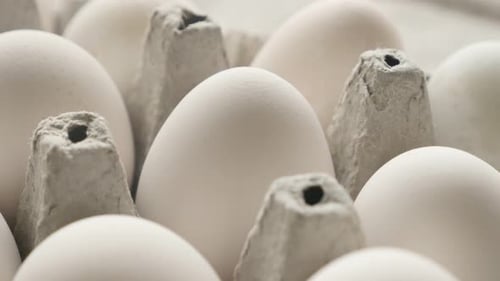 Eggs in carton box close-up 4K tilting video