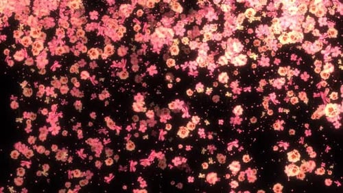 Falling Pink Cherry Blossom Petals Seamless Loop