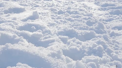Snow covering hill 4K 2160p UHD video - First snow covering plants outdoor natural 4K 3840X2160 UHD
