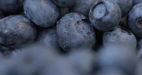 Super Macro Shot of a Blueberry