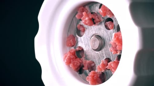 Making Raw Mincemeat with a Meat Mincer Closeup Shot