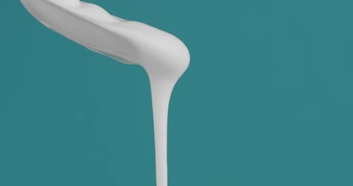 Fresh Plain Yogurt Falls Down From Spoon