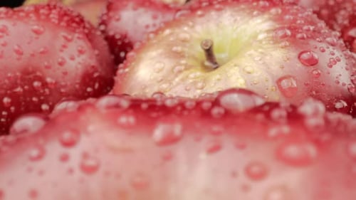 Äpfel