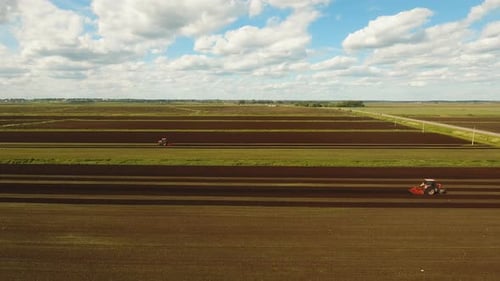 Tractor Cultivates the Land in the Field.