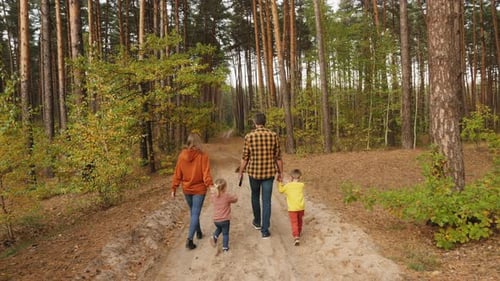 A Family of Four with a Dog Are Walking in a Pine Forest
