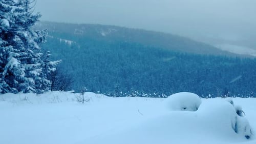 A Strong Winter Cold