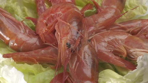 Red shrimp fresh sea food gourmet rotating on salad. Closeup on prawn Argentinian shrimps fresh sea