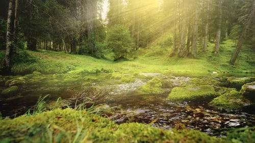 Running Water Down a Rocky River, with Sunlight on the Background