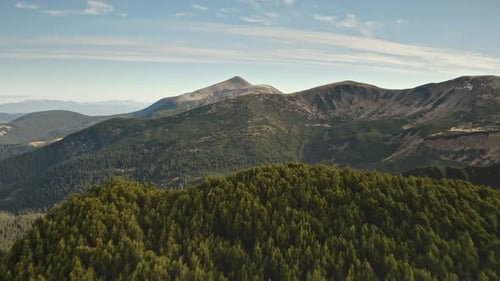 Mountain Peak at Green Grass Forest Aerial Closeup