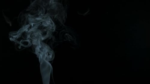 Elegant Smoke Rising on Black Background