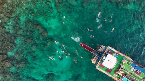 People swim in the azure sea aerial view 4 K Turkey Alanya