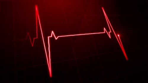 Digital EKG Pulse Screen Loop