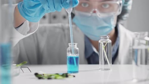 Plant Research Science, Chromosomal Dna And Genetics, Cultivar Development, Scientific Research