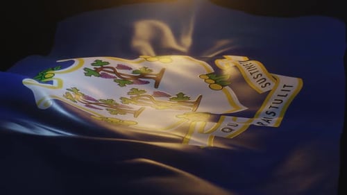 Realistic Connecticut State Flag Waving Seamless Loop