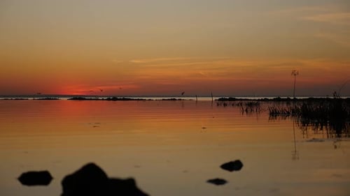 Reflet du beau coucher de soleil dans la mer et oiseaux volants en arrière-plan