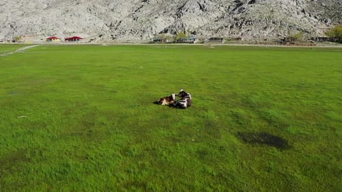 Green Meadow, haut dans les montagnes de Turquie, filmé par un Drone