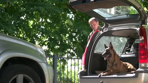Un perro en el maletero de un coche le ladra a un extraño.