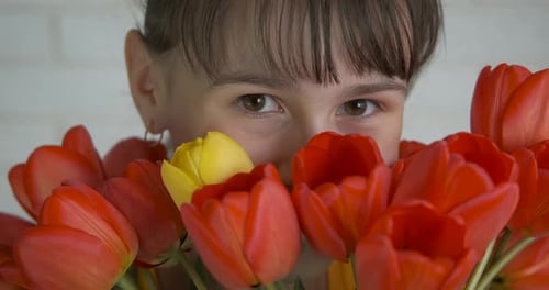 Child Holding Red and Yellow Tulip Bouquet