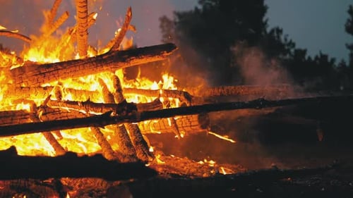 Das
große Lagerfeuer der Baumstämme brennt nachts im Wald. Zeitlupe mit 180 Bildern pro Sekunde