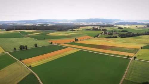 Aerial View of Lush, Green and Yellow Farmland