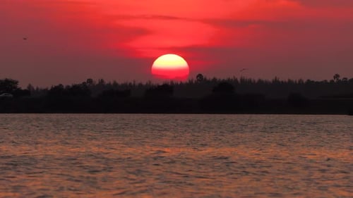 Atemberaubender Sonnenuntergang über dem Wasser - Top Clip mit fliegenden Vögel