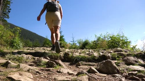 A Woman Walks Up a Slope in a Forest - View From Below