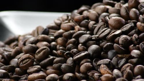 Close Up of Roasted Coffee Beans on Tray
