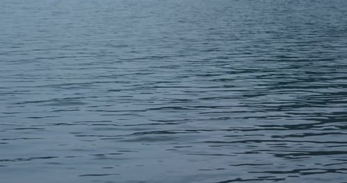 Calm Water Surface with Gentle Ripples