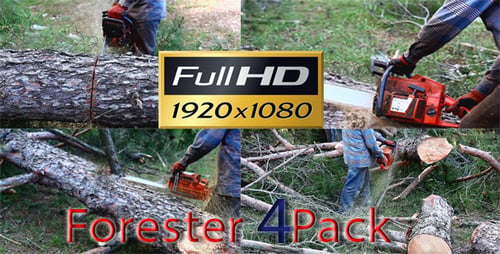 Forester 4er-Pack Full HD