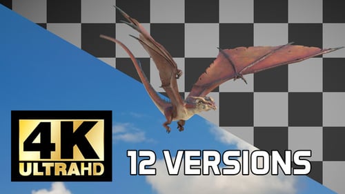 Pack Of 12 Flying And Roaring Dragons On Alpha Loop