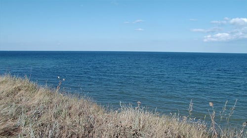 Blue Ocean Waves on Sunny Day at the Coast