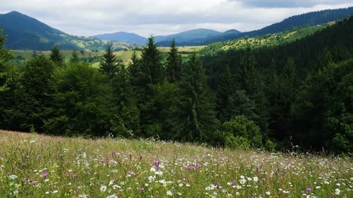 Mountain Landscape With The Green Grassy Lawn 3