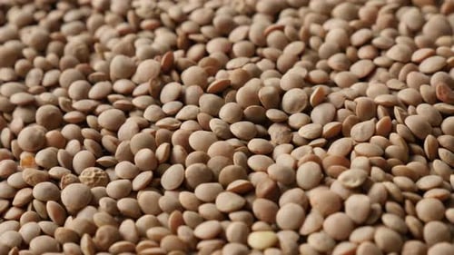 Pile of Fresh Lentils Close-Up