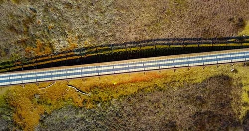 Brücke zwischen Asphaltstraßen zwischen Dickichten und grünen Bäumen