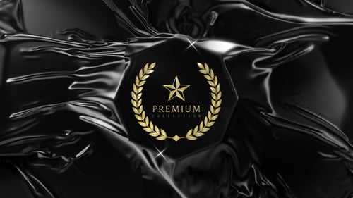 Luxury Fabric Logo Reveal with Fluid Motion