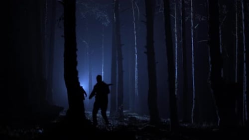 Persiguiendo el bosque para matar, noche.