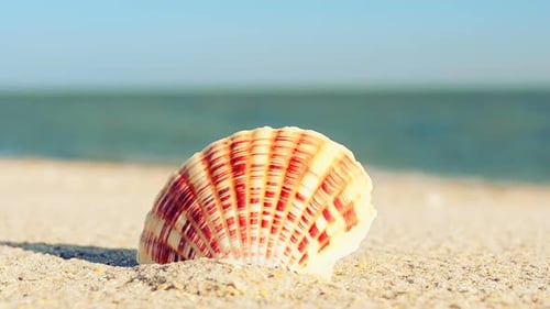 Beach 6
