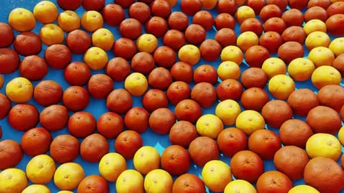 Fruit Fresh Orenge In Retro 04 HD