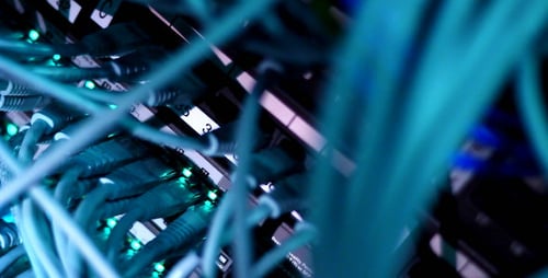 Blue Data Cables Plugged into Computer Server