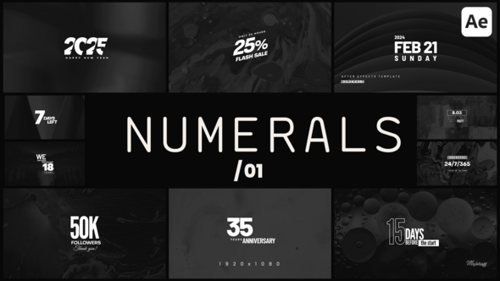 Numerals 01