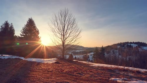 Timelapse Sunrise From Behind the Trees in the Spring Forest Landscape