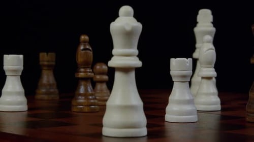 Jugador de ajedrez hace un movimiento The White Queen 25