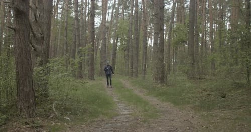 Backpacked Traveler in the Forest