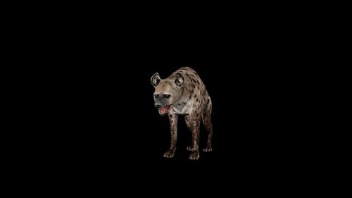 3D Animated Hyena Vocalizing Loop