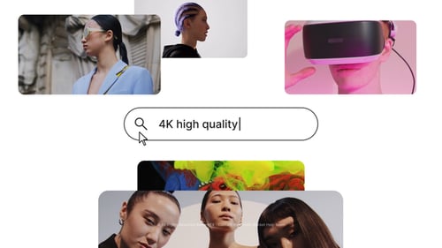 Search Bar Logo Intro