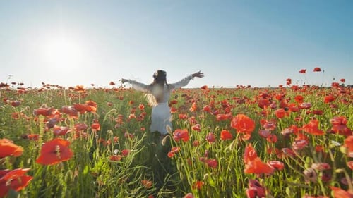 Ukrainian Girl Walking Through a Red Poppy Field