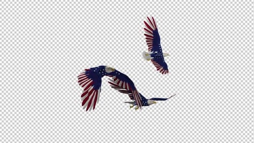USA Eagles - 3 Birds - Flying Loop - Side Angle