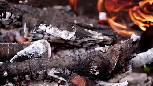 Chama de fogo de perto. Lareira quente com muitas árvores prontas para churrasco