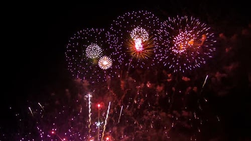 Colorful Fireworks Exploding in the Night Sky