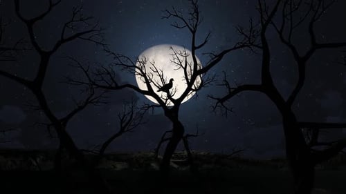 Bare Tree Silhouette Full Moon Night Sky with Bird